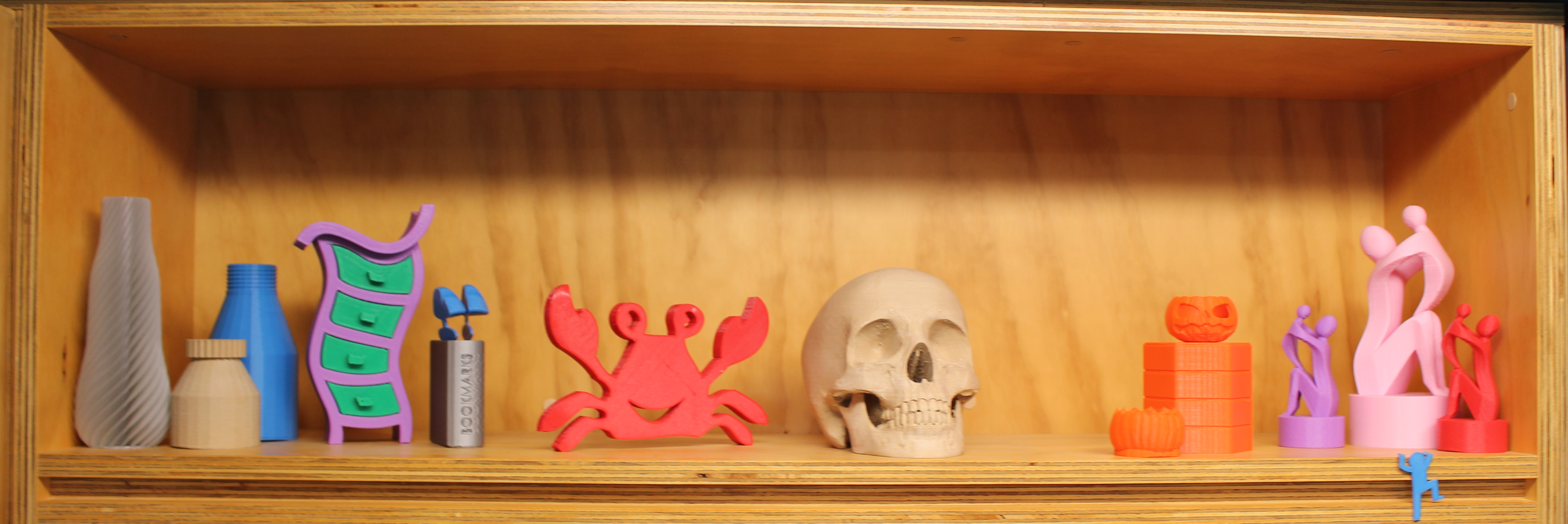 Shelf of 3D Prints