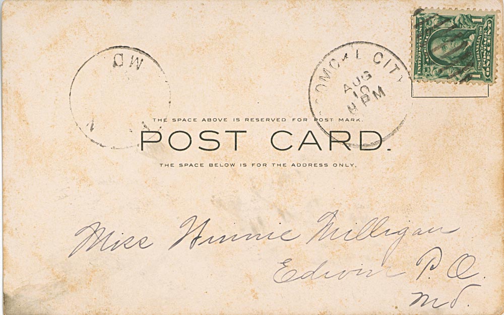 Pocomoke River Post Card