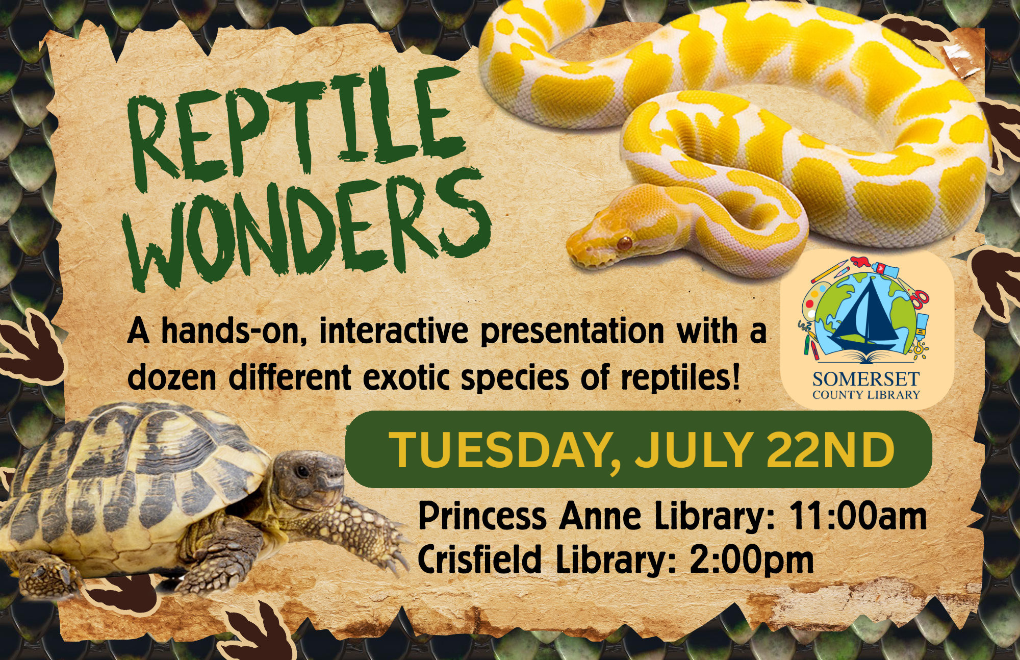 Reptile Wonders