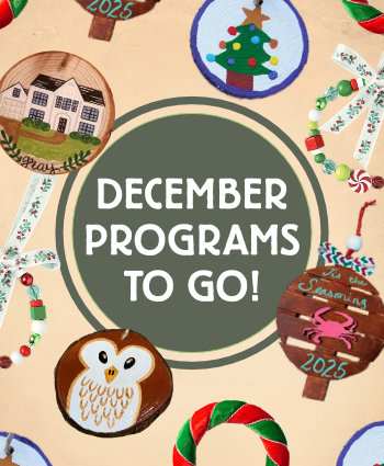 Programs to Go Reservation Form