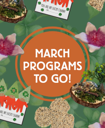 PROGRAMS TO GO Visit somelibrary.org/programs to request. CHERRY BLOSSOM AIR DRY CLAY TRINKET DISH Use a packet of air dry clay and flower template to make a small trinket dish and paint once thoroughly dried. HANDPRINT GNOME KEEPSAKE Construct a cute gnome with some paper and your handprint! PEANUT BUTTER AND BIRD SEED BIRD FEEDER Choose from fun patterns to cut out your own shapes of chipboard. Coat with peanut butter and bird seeds, then enjoy watching the birds. (Please make note if you have a peanut allergy). MINI SCENE Use your imagination to create a fun scene for your figurine.