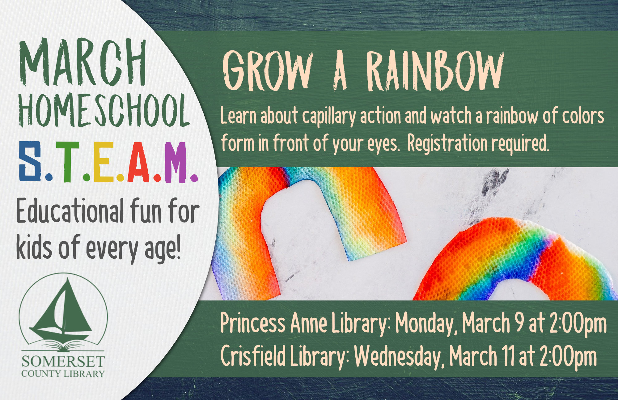 Homeschool STEAM PRINCESS ANNE: Mondays at 2:00 CRISFIELD: Wednesdays at 2:00 Educational fun for kids of every age! Stop by to register or call your local branch. GROW A RAINBOW Learn about capillary action and watch a rainbow of colors form in front of your eyes. Princess Anne: March 9 Crisfield: March 11