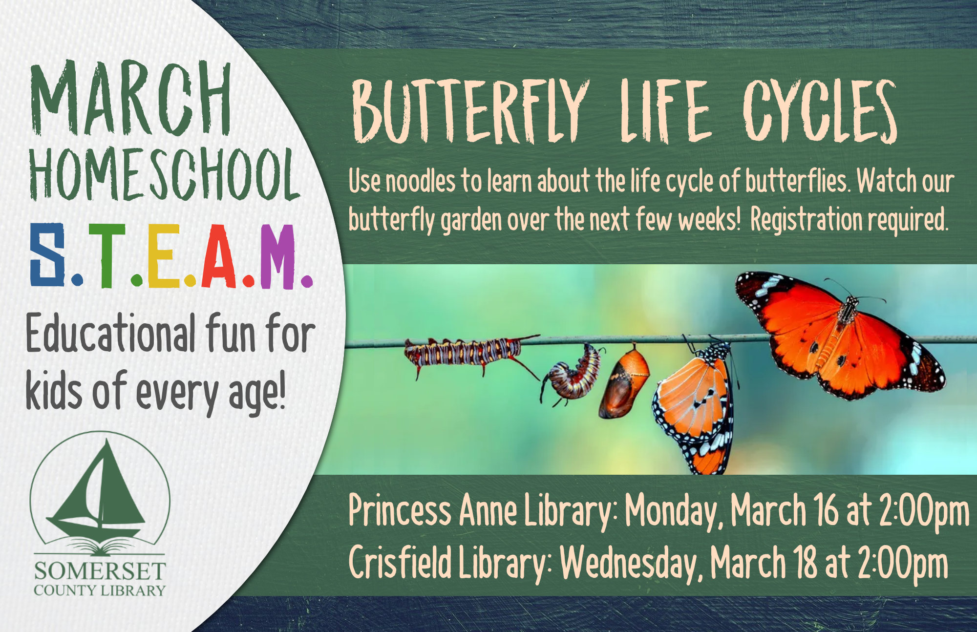 Homeschool STEAM PRINCESS ANNE: Mondays at 2:00 CRISFIELD: Wednesdays at 2:00 Educational fun for kids of every age! Stop by to register or call your local branch. BUTTERFLY LIFE CYCLES Use noodles to learn about the life cycle of butterflies. Watch our butterfly garden over the next few weeks! Princess Anne: March 16 Crisfield: March 18