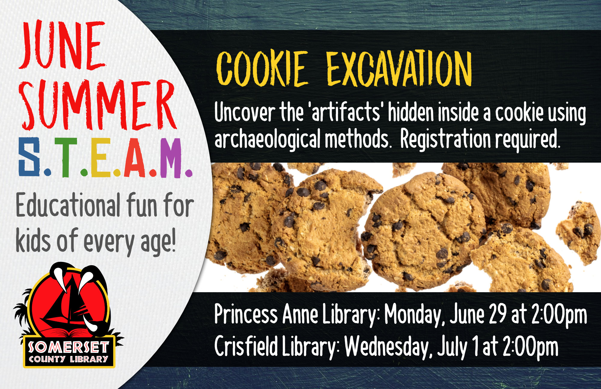 SUMMER STEAM NEW NAME Educational Fun for Kids of Every Age! Crisfield: Wednesdays at 2:00 pm Princess Anne: Mondays at 2:00 pm Stop by to register or call your local branch June 29 & July 1: Cookie Excavation- Uncover the ‘artifacts’ hidden inside a cookie using archaeological methods.