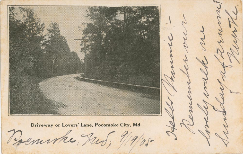 Front Side of Post Card, Lovers Lane